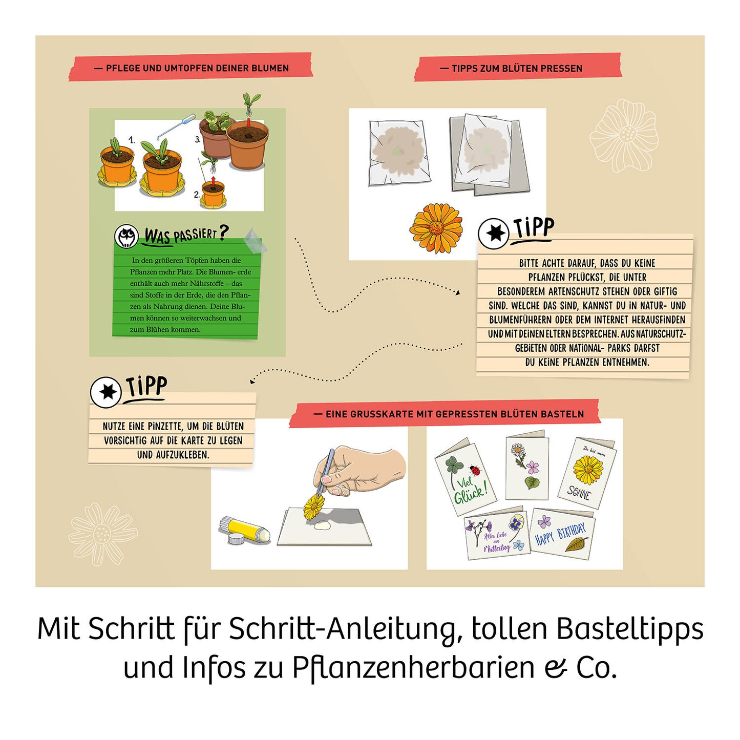 Experimentierkasten Blütenpresse