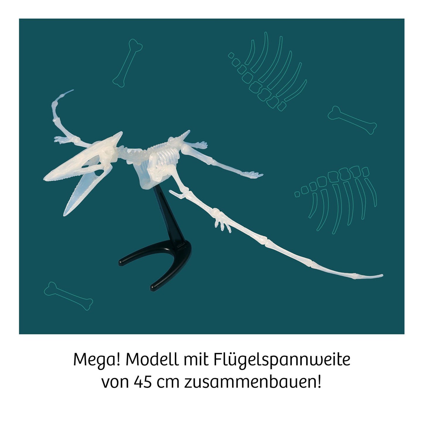 Experimentierset Nachtleuchtender Flugsaurier Fossil