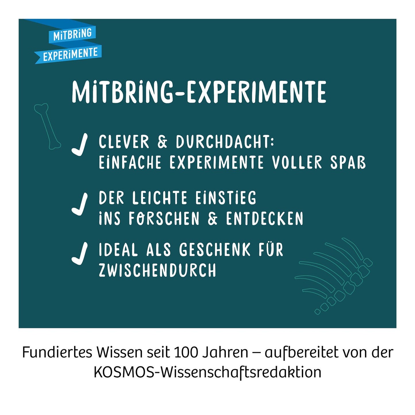 Experimentierset Nachtleuchtender Flugsaurier Fossil