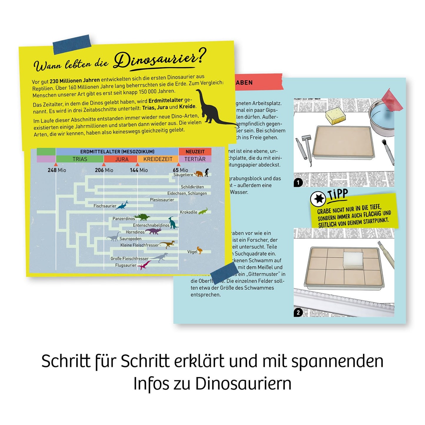 Experimentierset Nachtleuchtender Flugsaurier Fossil