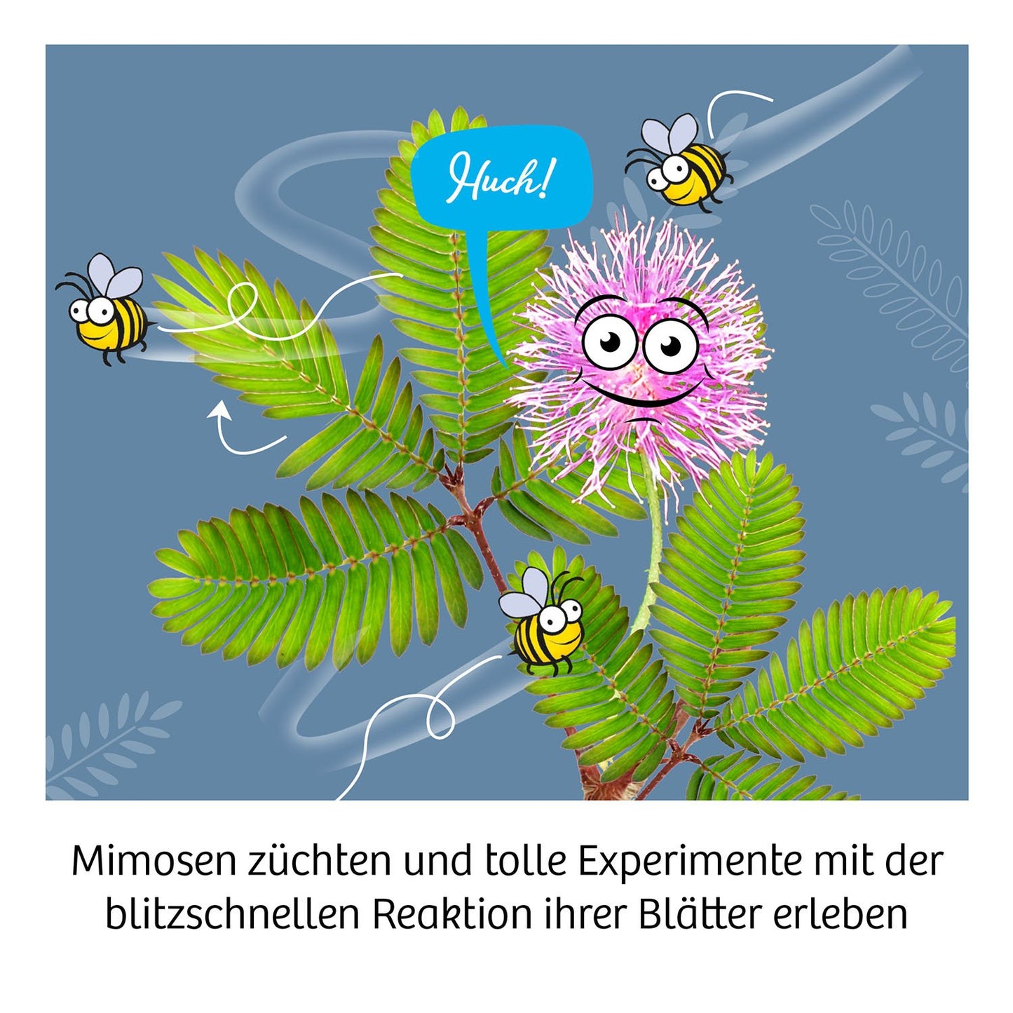 Experimentierset Mimosen Garten