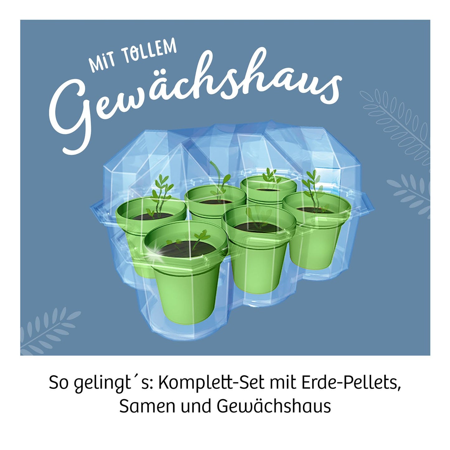 Experimentierset Mimosen Garten