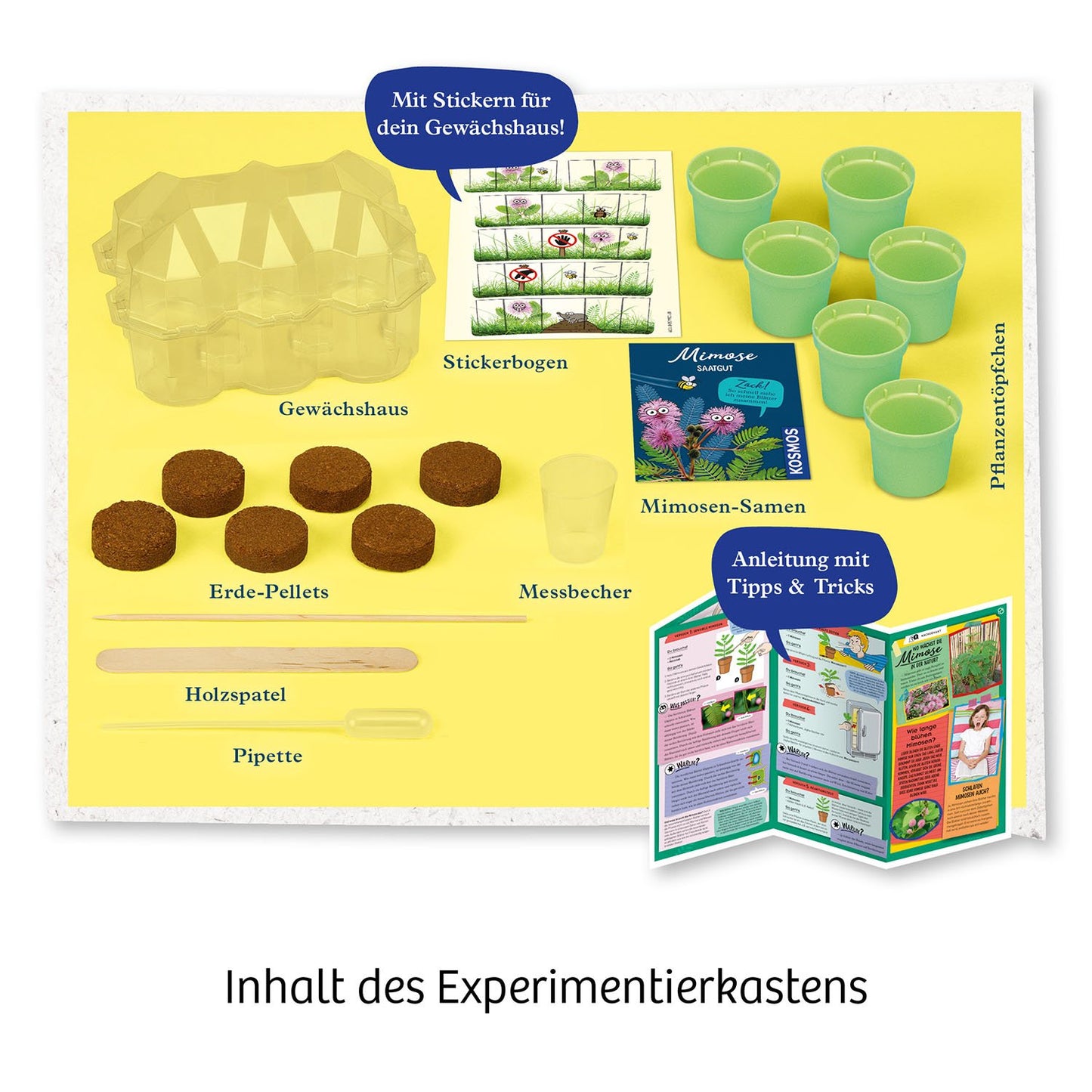 Experimentierset Mimosen Garten