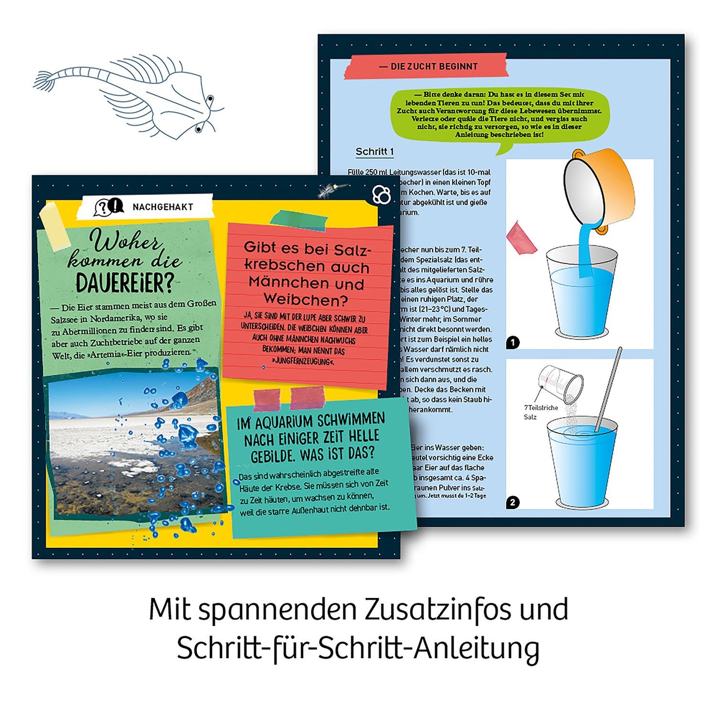 Experimentierset Urzeit-Krebse