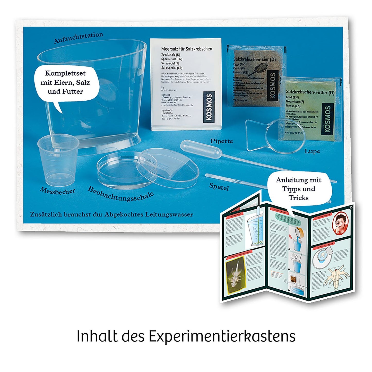 Experimentierset Urzeit-Krebse