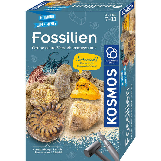 Ausgrabungsset Fossilien