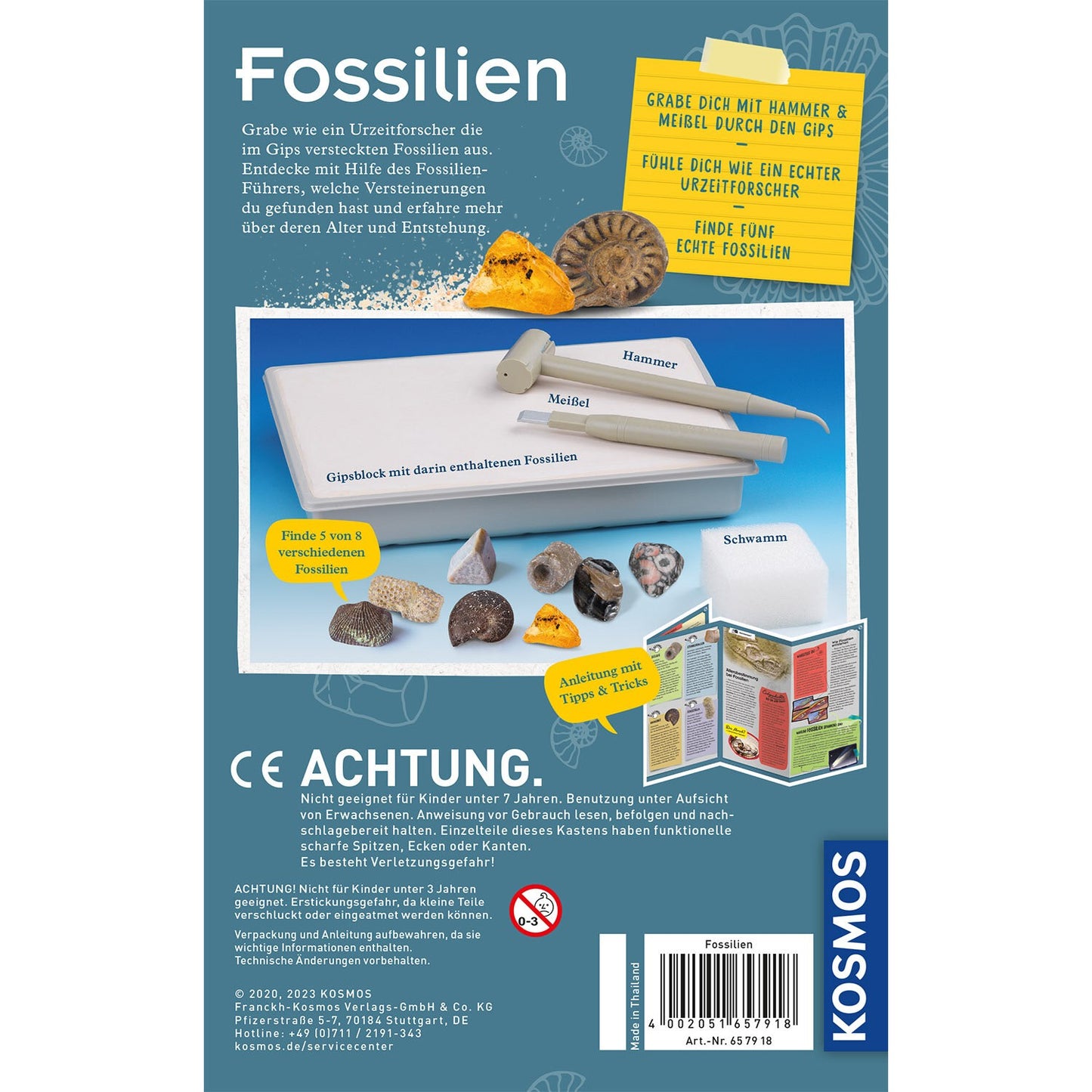 Ausgrabungsset Fossilien