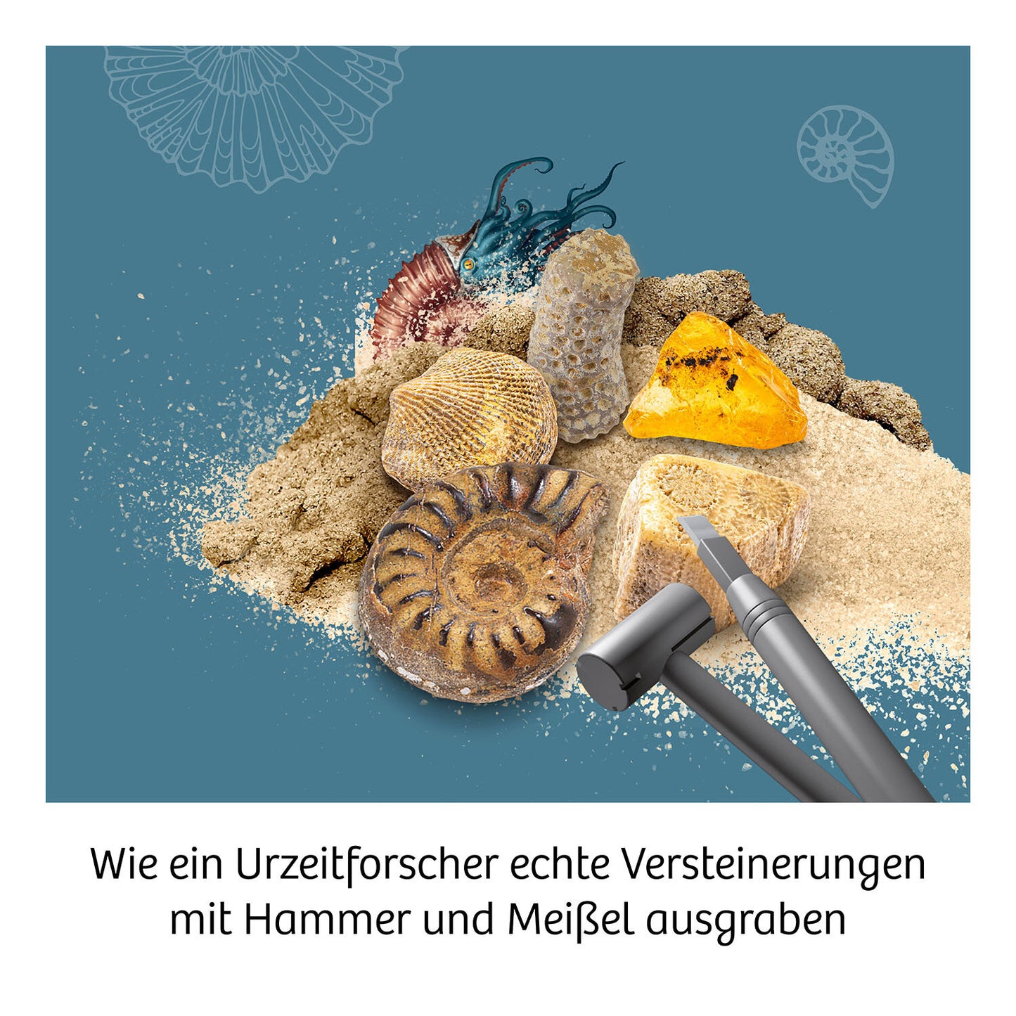 Ausgrabungsset Fossilien