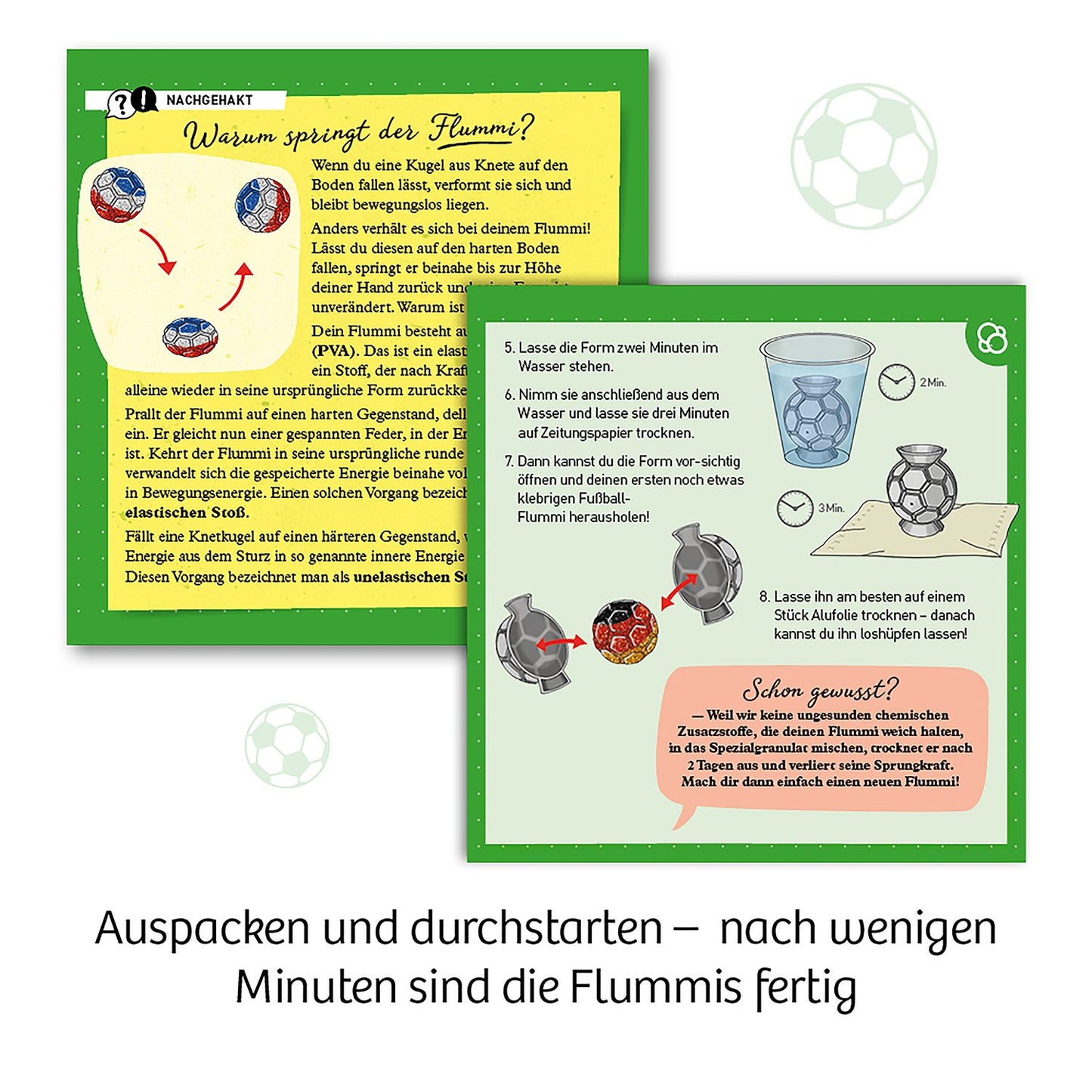 Experimentierset Fussball-Flummis