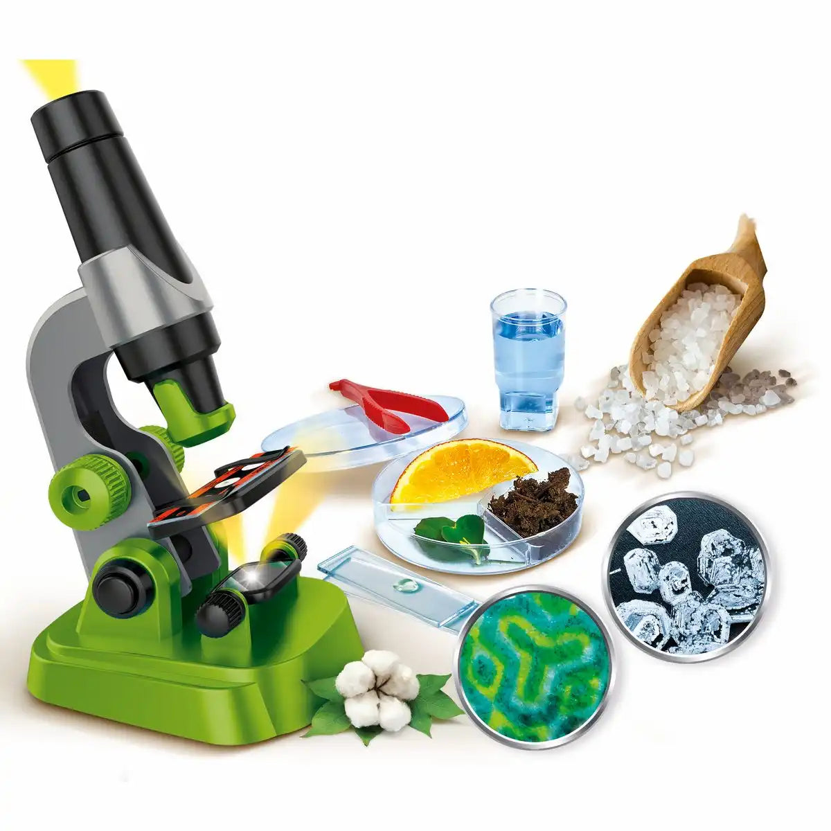 Experimentierkasten Galileo Mein 1. Mikroskop