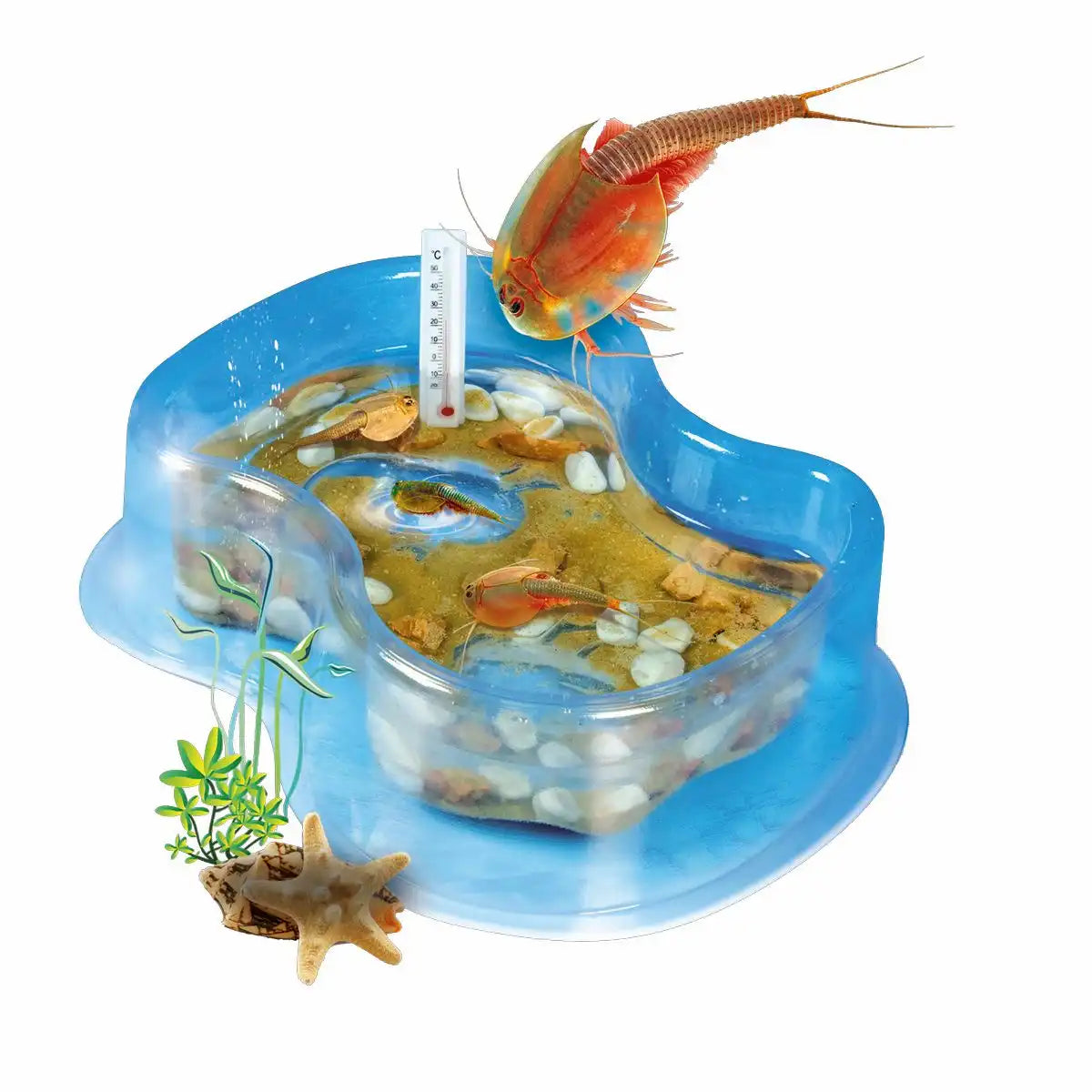 Experimentierset Galileo Triops Starter Set