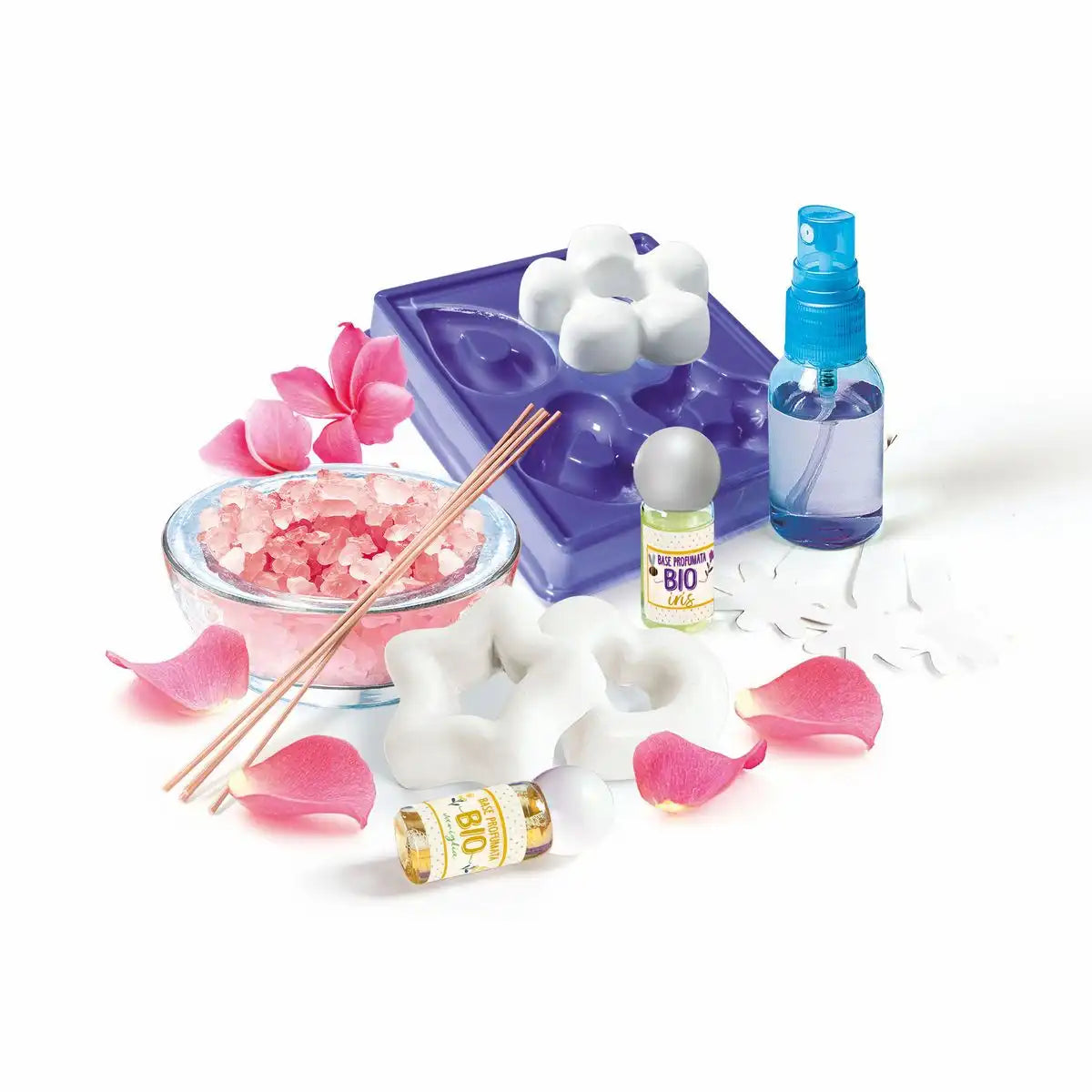 Experimentierset Galileo Triops Starter Set
