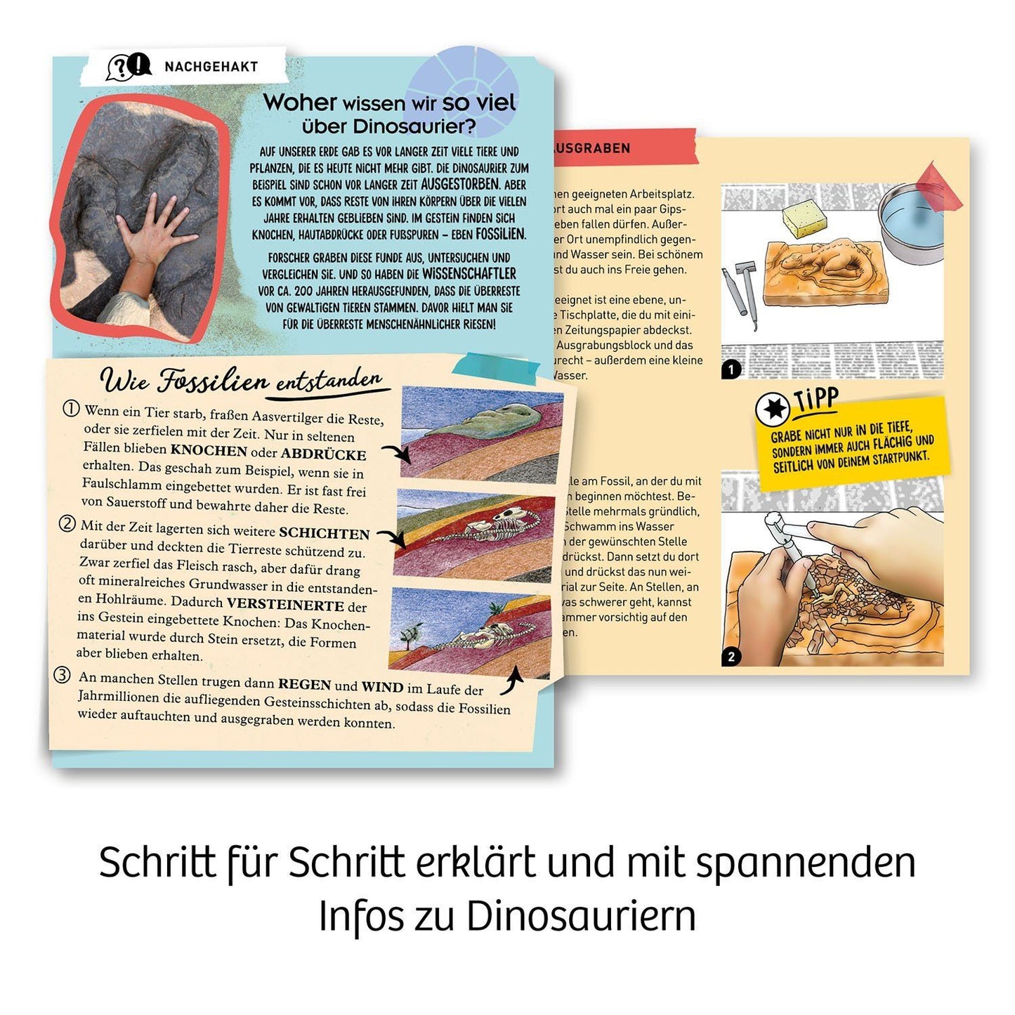 Kosmos Ausgrabungs-Set T-Rex 3D