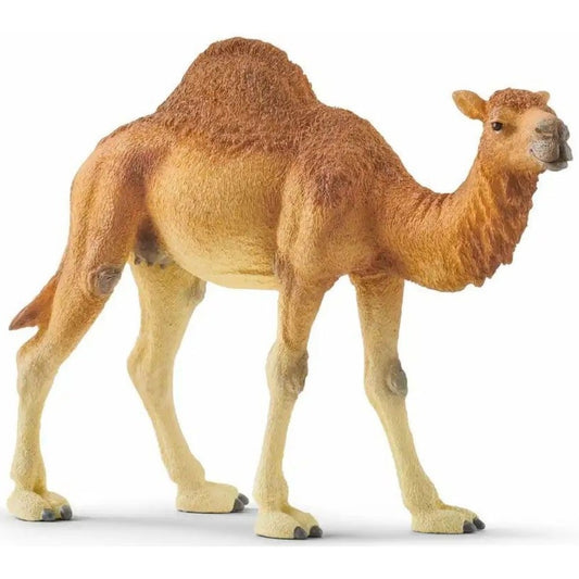 schleich 14832 Wild Life Dromedar