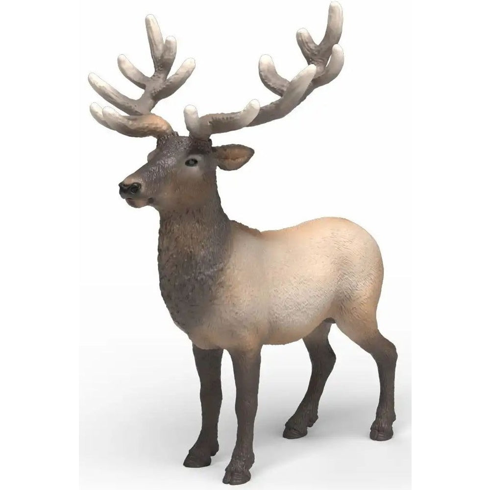 schleich 14992 Wild Life Amerikanischer Rothirsch